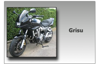 ￼


Grisu